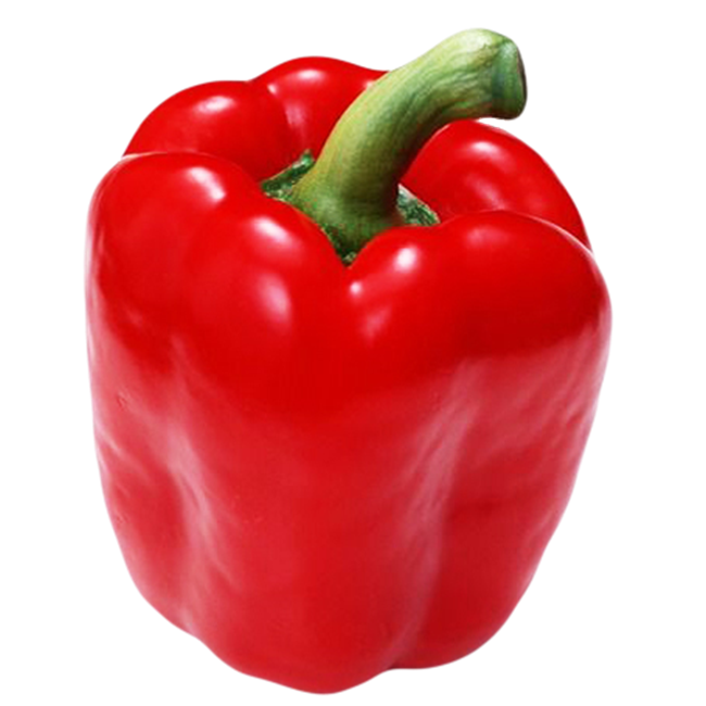 Picture of CAPSICUM RED 
