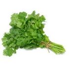 Picture of HERBS CORIANDER