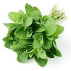 Picture of HERBS MINT 