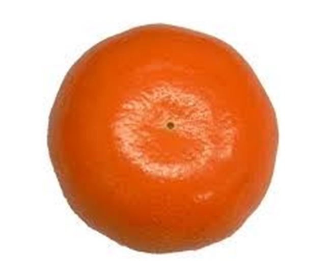 Picture of MANDARINE AFOURER 