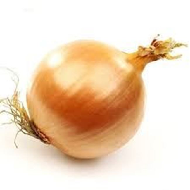 Picture of ONION BROWN LOOSE