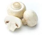 Picture of MUSHROOM BUTTON