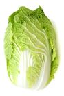 Picture of CABBAGE CHINESE WHOLE (WOMBOK)