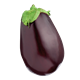 Picture of EGGPLANT HYDROPONIC