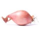 Picture of ONION SHALLOTS