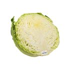 Picture of CABBAGE PLAIN HALF