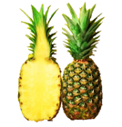 Picture of CUT, PINEAPPLE HALF