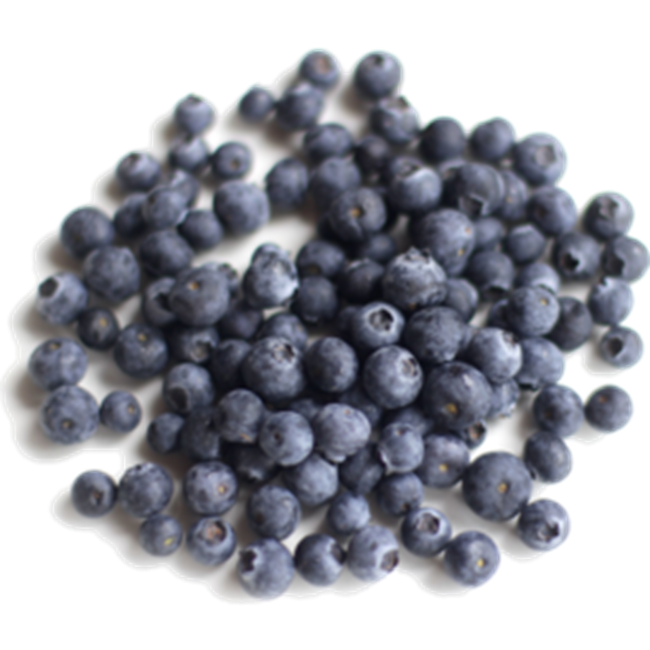 Picture of BERRY KING FROZEN BLUEBERRIES 1kg, KOSHER