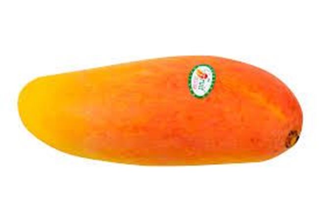 Picture of MANGO MAHA 