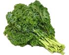 Picture of KALE  
