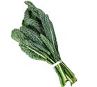 Picture of TUSCAN KALE  
