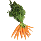 Picture of CARROTS BABY BUNCH