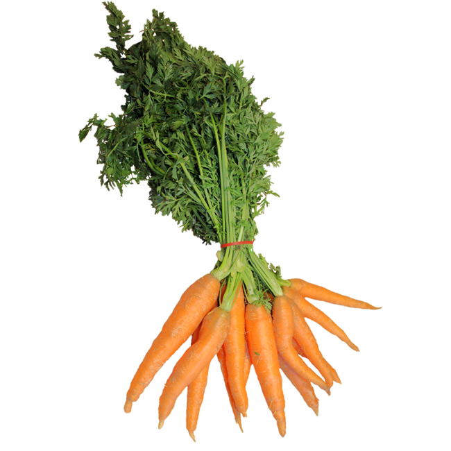 Picture of CARROTS BABY BUNCH