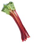Picture of RHUBARB  