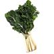 Picture of SILVERBEET BUNCH