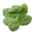 Picture of LETTUCE, BABY SPINACH LEAVES LOOSE 250g