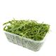 Picture of LETTUCE, WILD ROCKET 100g PACK