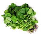 Picture of LETTUCE, WATERCRESS BUNCH