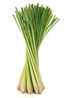Picture of HERBS LEMONGRASS