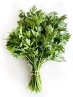 Picture of HERBS PARSLEY CONTINENETAL