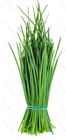 Picture of HERBS CHIVES