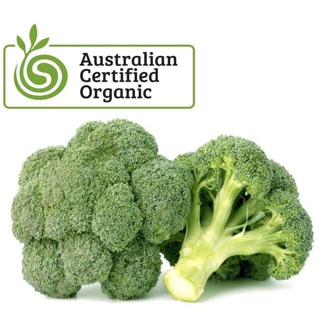Picture of ORGANIC BROCCOLI PACK