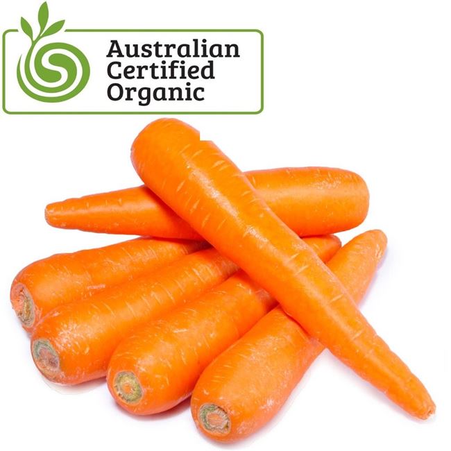 Picture of ORGANIC CARROTS 1kg 