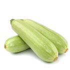 Picture of WHITE ZUCCHINI PACK 