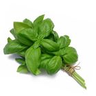 Picture of HERBS BASIL ITALIAN