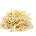 Picture of BEAN SPROUTS 250G