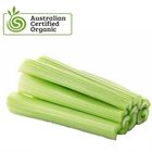 Picture of ORGANIC CELERY STICKS PACK