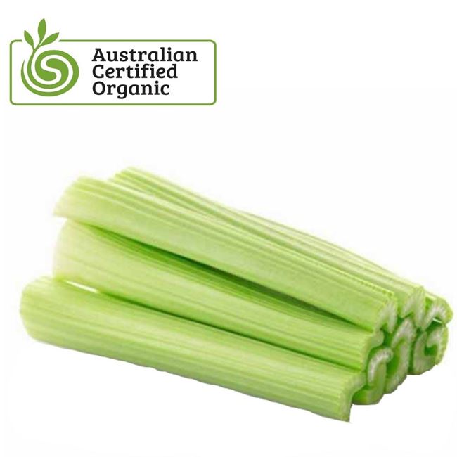 Picture of ORGANIC CELERY STICKS PACK