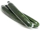 Picture of CUCUMBER LONG(CONTINENTAL )