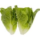 Picture of LETTUCE, BABY COS 2 PACK