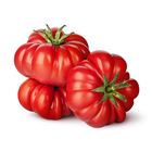 Picture of TOMATO, HEIRLOOM 