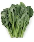 Picture of BROCCOLI CHINESE BUNCH