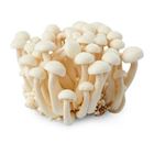 Picture of MUSHROOM WHITE PEARL PACK 300g