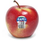 Picture of APPLE KANZI