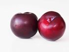 Picture of  PLUM ( USA)