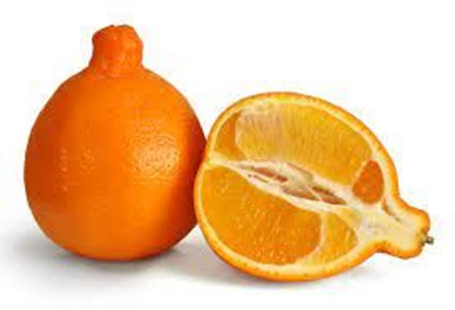 Picture of TANGELOS