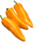 Picture of CAPSICUM BULLHORN ORANGE