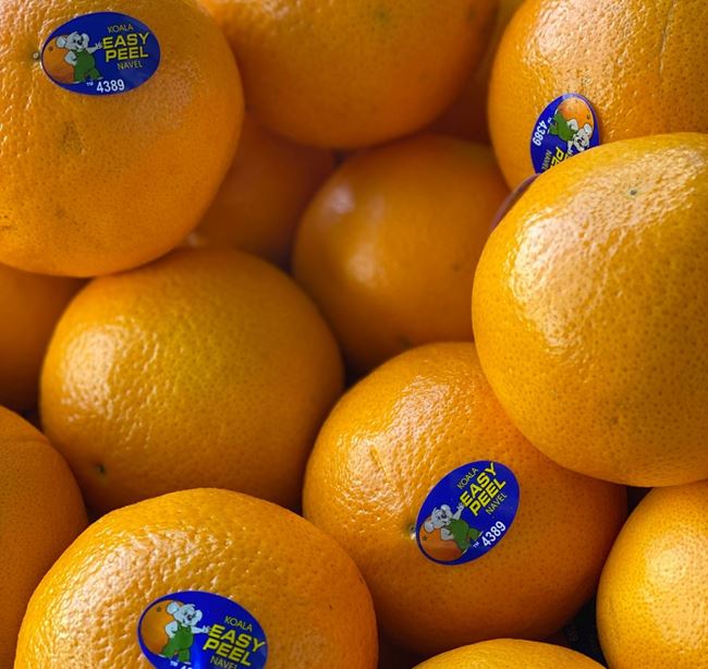 Picture of ORANGE EASY PEEL (BULK PER KG)