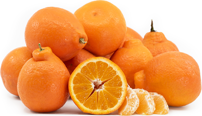 Picture of TANGELOS (BULK PER KG)