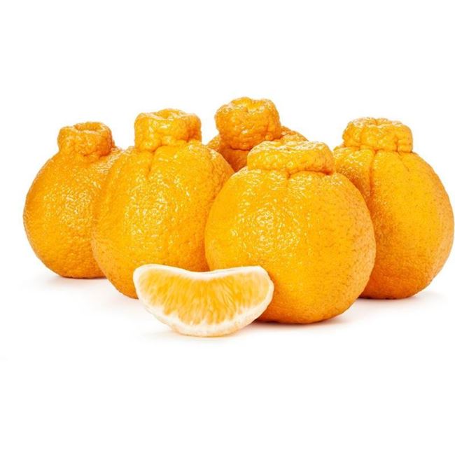 Picture of SUMO MANDARINE (BULK PER KG)