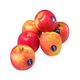 Picture of APPLE JAZZ (BULK PER KG)