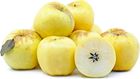 Picture of APPLE GOLDEN DELICIOUS (BULK PER KG)