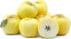 Picture of APPLE GOLDEN DELICIOUS (BULK PER KG)