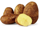 Picture of POTATO DUTCH CREAM (BULK PER KG)